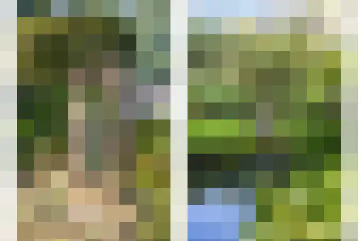 Bovenweg 34 Nijeberkoop thumbnail 4