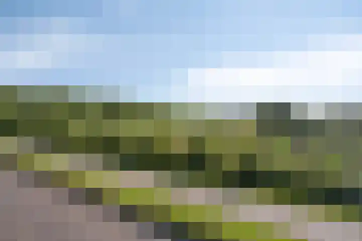 Bovenweg 34 Nijeberkoop thumbnail 42