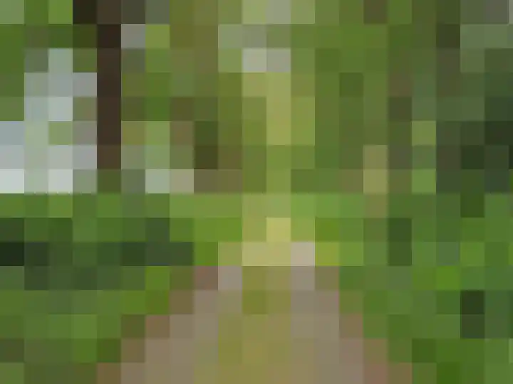 Bovenweg 34 Nijeberkoop thumbnail 45