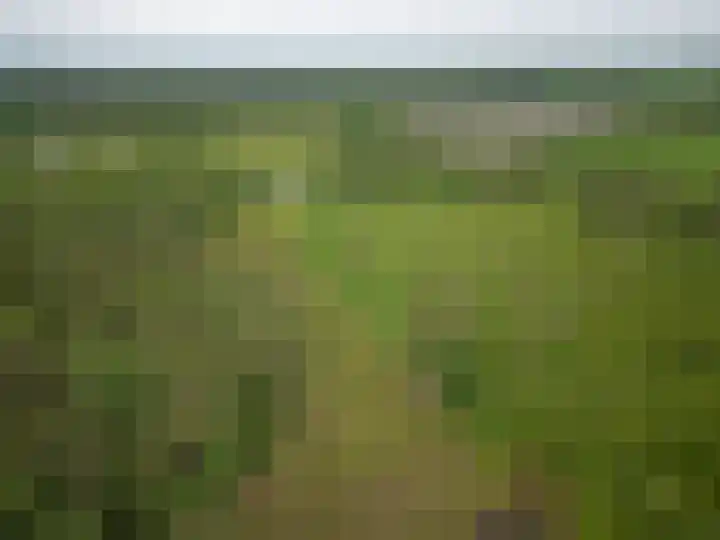 Bovenweg 34 Nijeberkoop thumbnail 46