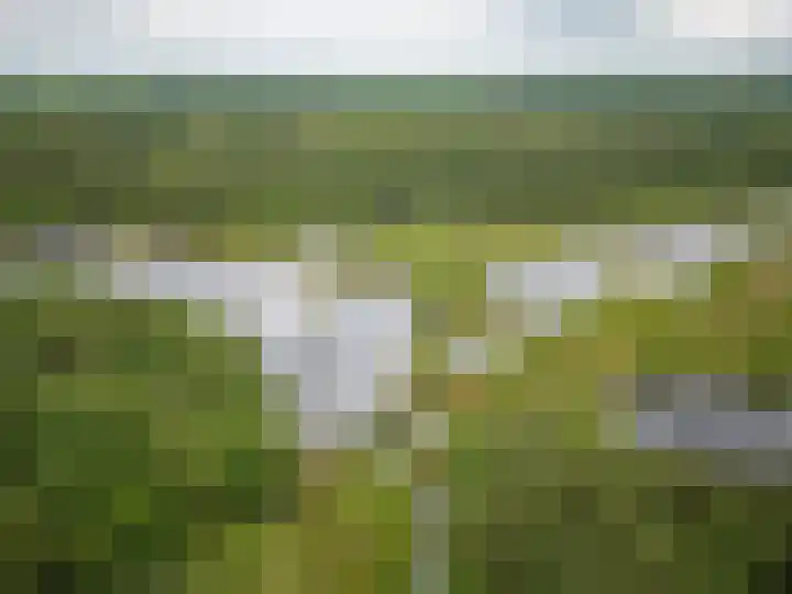 Bovenweg 34 Nijeberkoop thumbnail 47