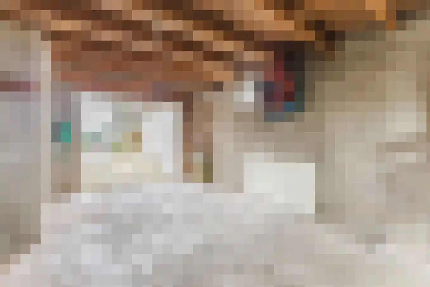 Bovenweg 35 Sint Pancras thumbnail 47