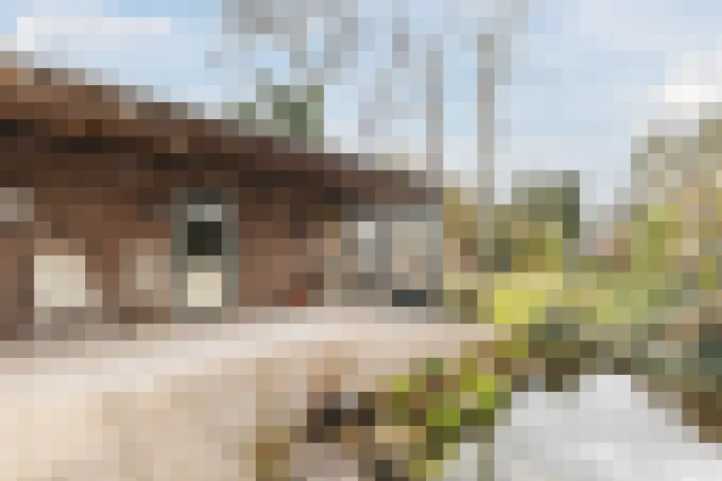 Bovenweg 35 Sint Pancras thumbnail 51