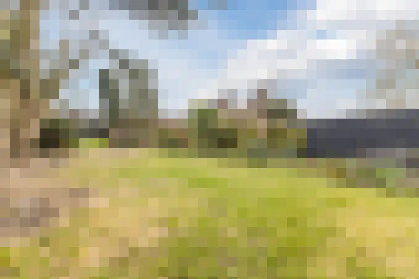 Bovenweg 35 Sint Pancras thumbnail 55