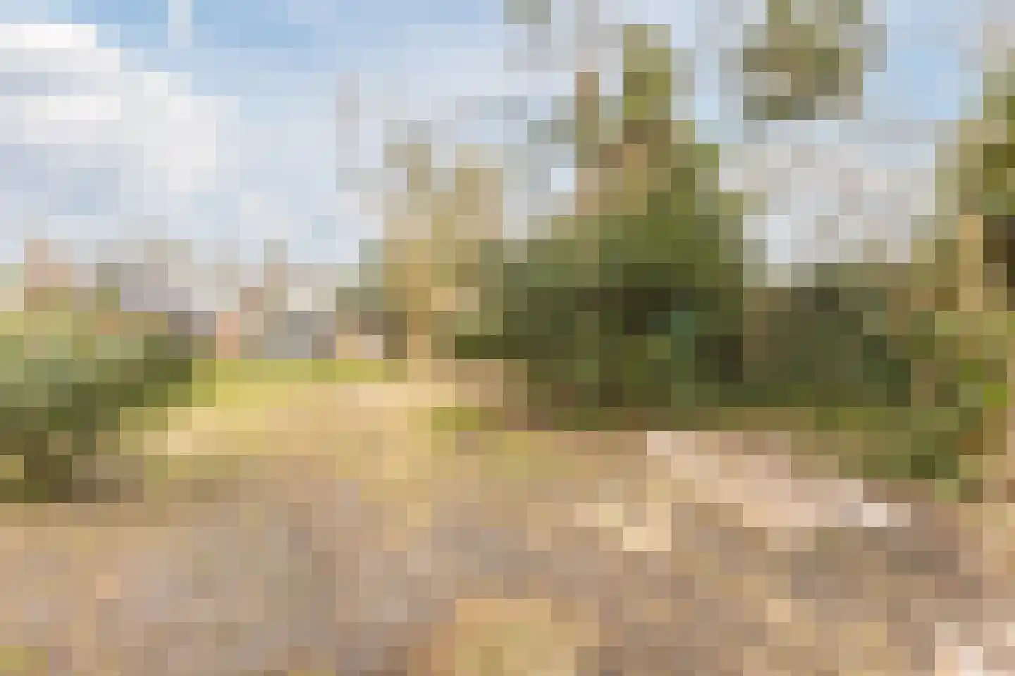 Bovenweg 35 Sint Pancras thumbnail 57