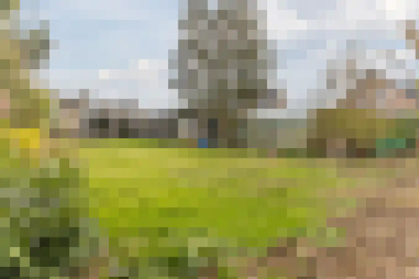 Bovenweg 35 Sint Pancras thumbnail 58