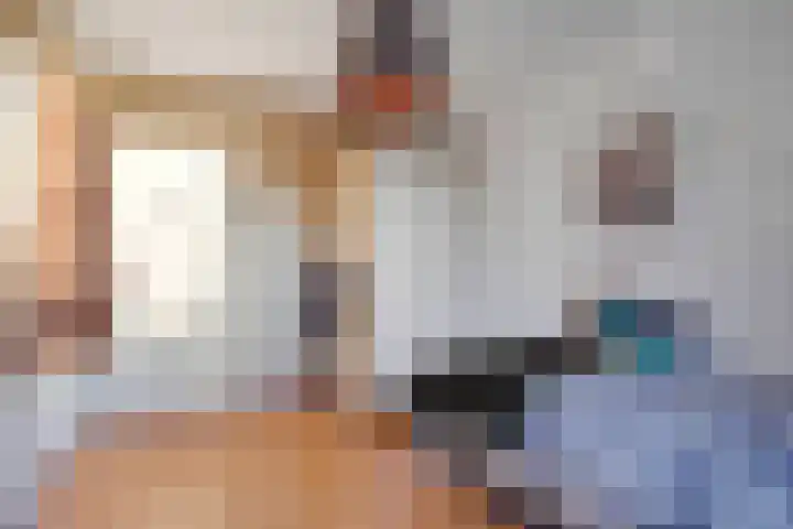 Bovenweg 35 't Harde thumbnail 38