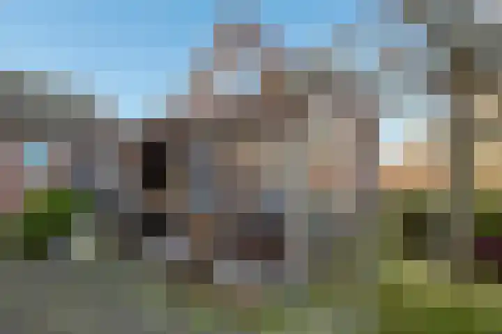 Bovenweg 35 't Harde thumbnail 47