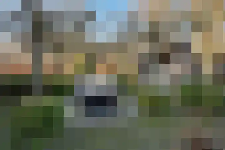 Bovenweg 35 't Harde thumbnail 49