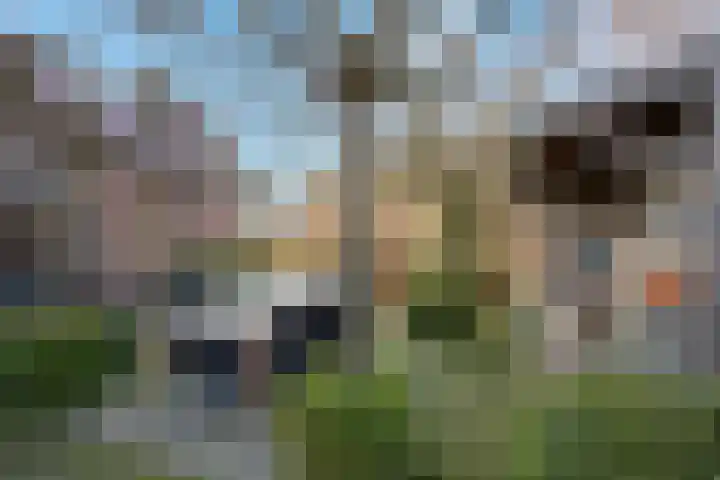 Bovenweg 35 't Harde thumbnail 50