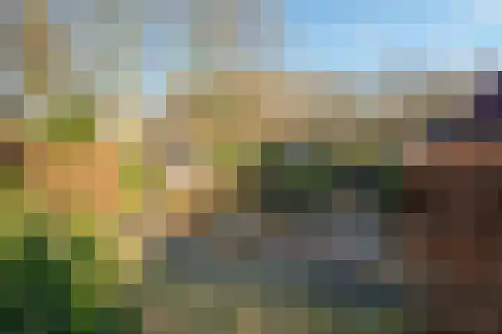 Bovenweg 35 't Harde thumbnail 52