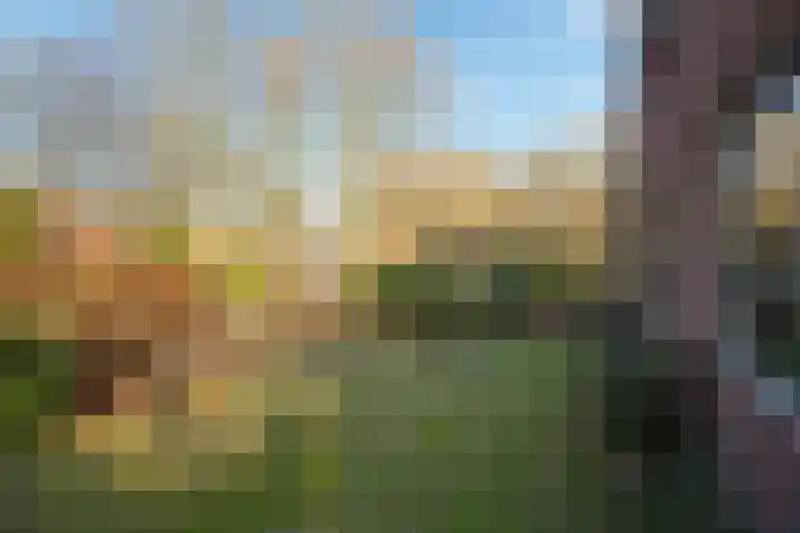 Bovenweg 35 't Harde thumbnail 53