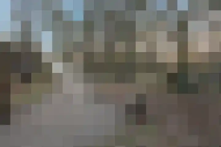 Bovenweg 35 't Harde thumbnail 68
