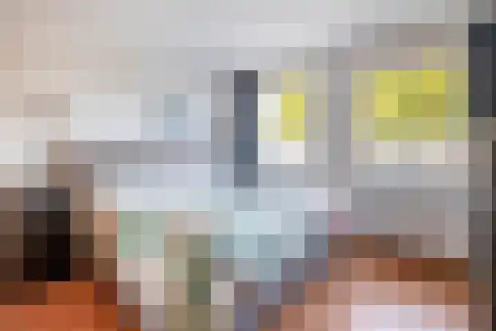Bovenweg 36 Muntendam thumbnail 25