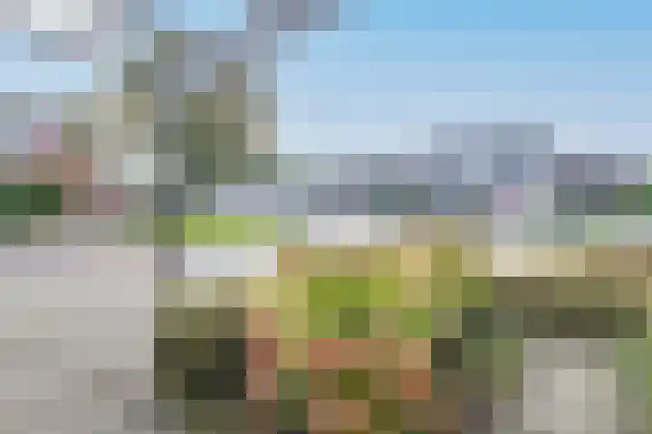 Bovenweg 36 Muntendam thumbnail 8