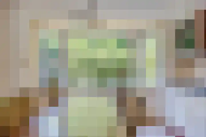 Bovenweg 40 Nijeberkoop thumbnail 10