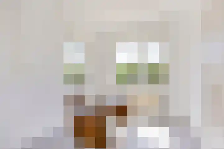 Bovenweg 40 Nijeberkoop thumbnail 18