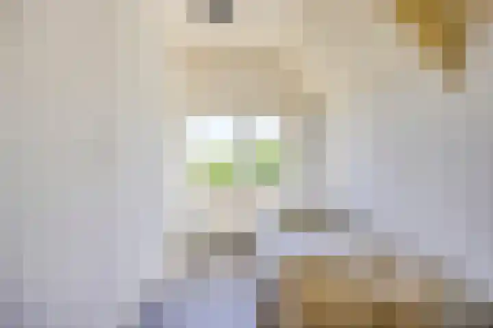Bovenweg 40 Nijeberkoop thumbnail 26