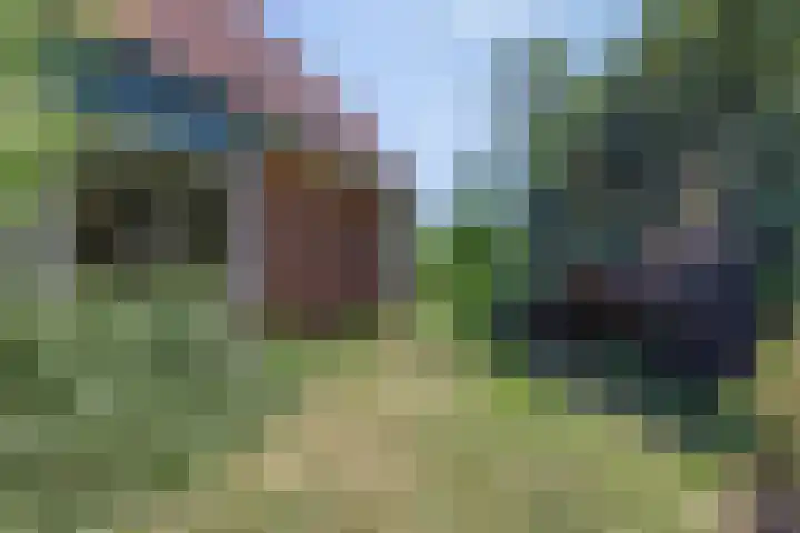 Bovenweg 40 Nijeberkoop thumbnail 28