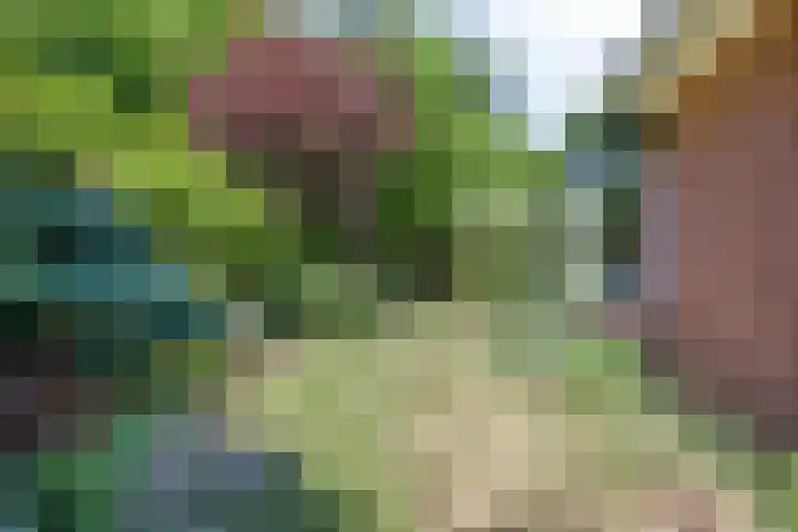 Bovenweg 40 Nijeberkoop thumbnail 29