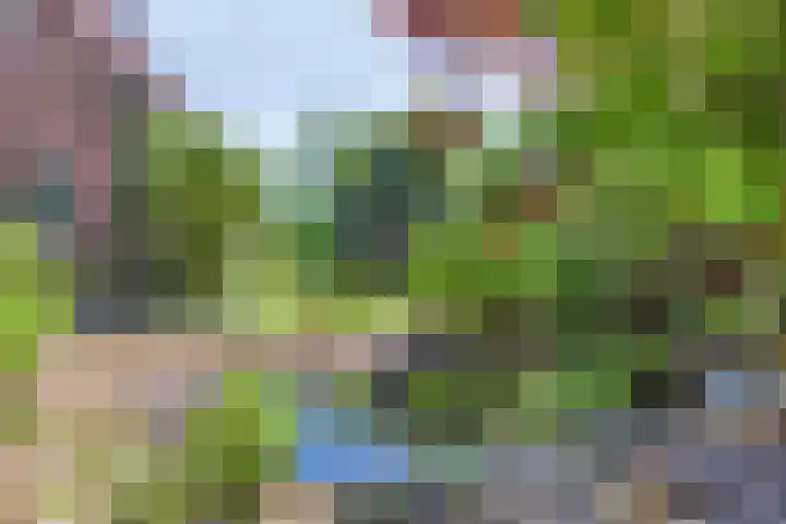 Bovenweg 40 Nijeberkoop thumbnail 30