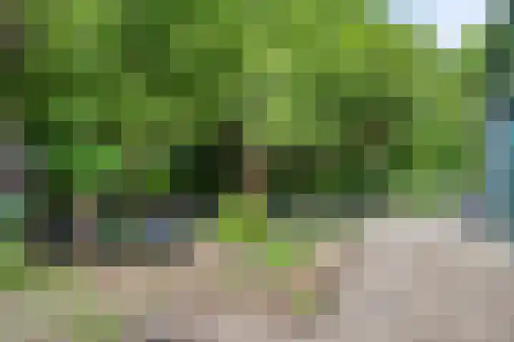 Bovenweg 40 Nijeberkoop thumbnail 31