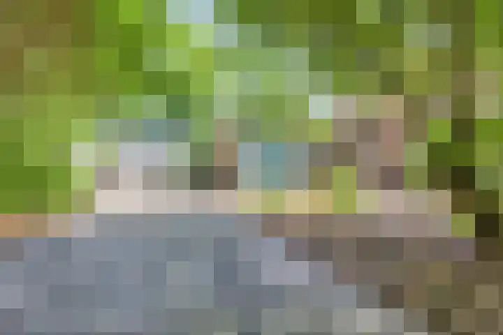 Bovenweg 40 Nijeberkoop thumbnail 33