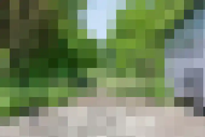 Bovenweg 40 Nijeberkoop thumbnail 34