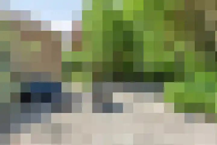 Bovenweg 40 Nijeberkoop thumbnail 35