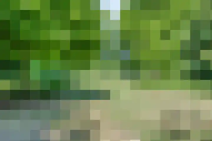 Bovenweg 40 Nijeberkoop thumbnail 36