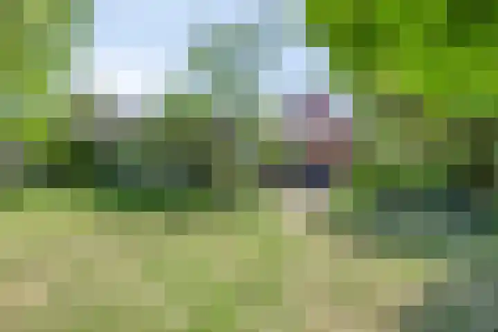 Bovenweg 40 Nijeberkoop thumbnail 37