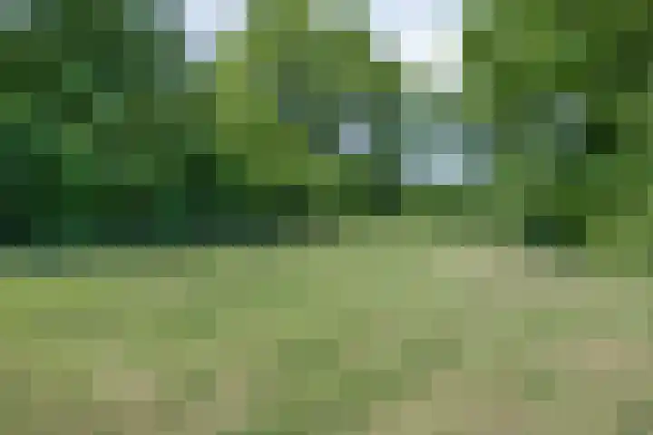 Bovenweg 40 Nijeberkoop thumbnail 38