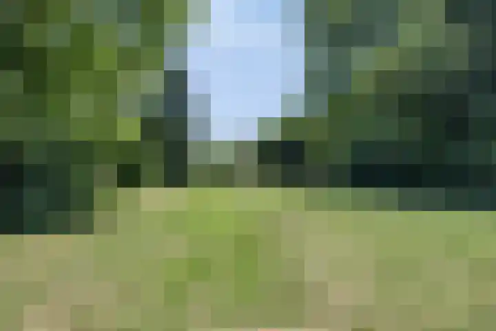 Bovenweg 40 Nijeberkoop thumbnail 39