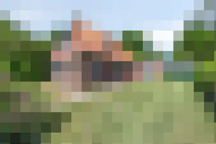 Bovenweg 40 Nijeberkoop thumbnail 4