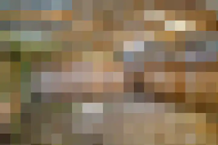 Bovenweg 40 Nijeberkoop thumbnail 41