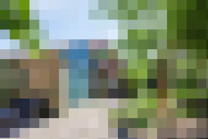 Bovenweg 40 Nijeberkoop thumbnail 42