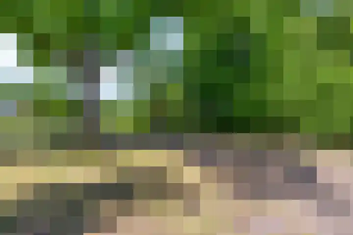 Bovenweg 40 Nijeberkoop thumbnail 43