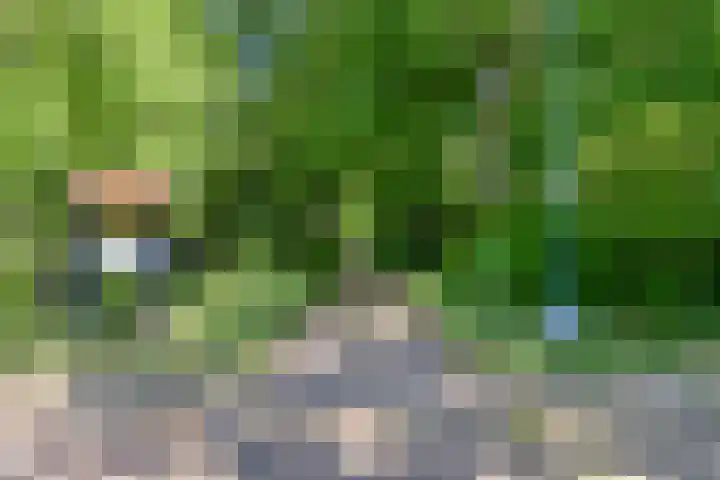 Bovenweg 40 Nijeberkoop thumbnail 44