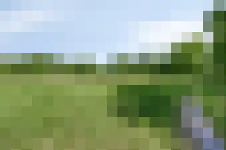 Bovenweg 40 Nijeberkoop thumbnail 46