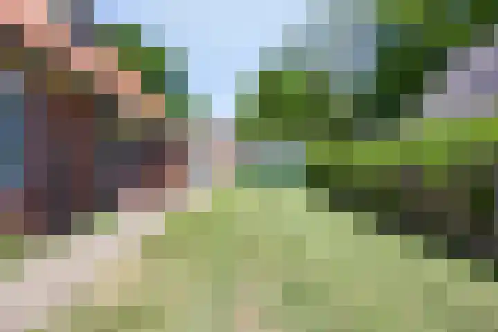 Bovenweg 40 Nijeberkoop thumbnail 6