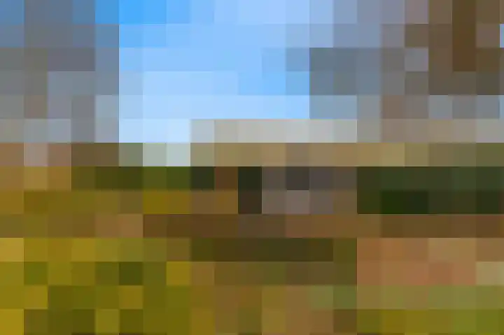 Bovenweg 47 Sint Pancras thumbnail 30