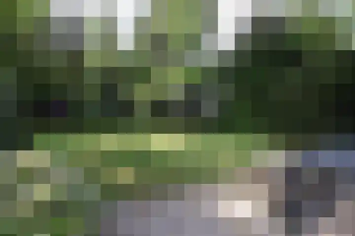 Bovenweg 5 1 Otterlo thumbnail 17