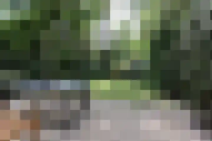Bovenweg 5 1 Otterlo thumbnail 18