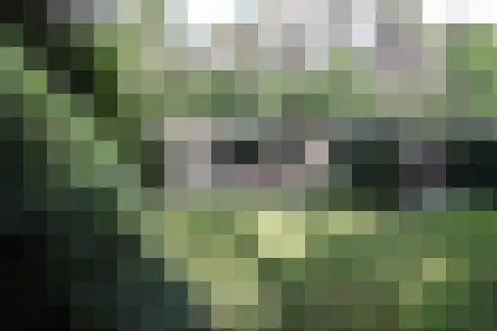 Bovenweg 5 1 Otterlo thumbnail 19