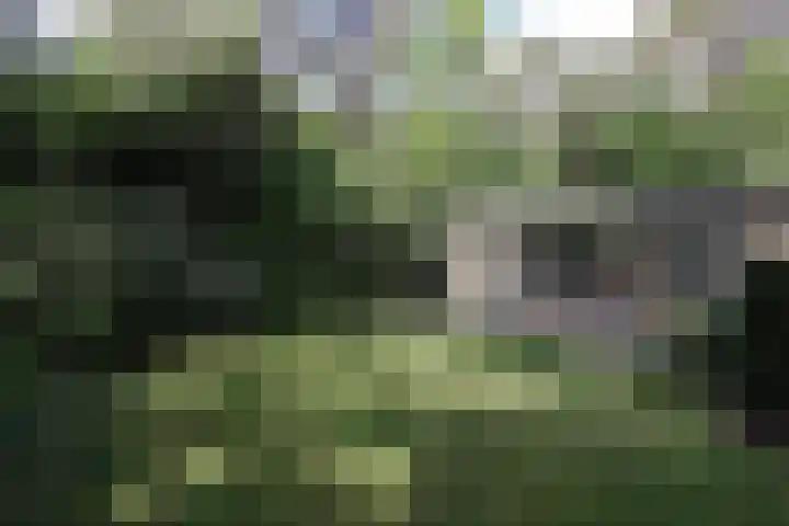 Bovenweg 5 1 Otterlo thumbnail 20