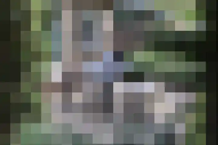 Bovenweg 5 1 Otterlo thumbnail 21