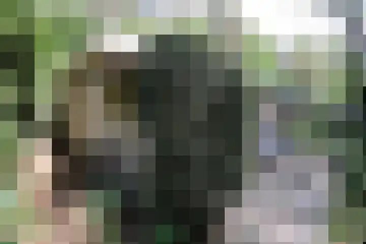 Bovenweg 5 1 Otterlo thumbnail 22