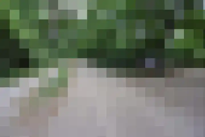 Bovenweg 5 1 Otterlo thumbnail 23