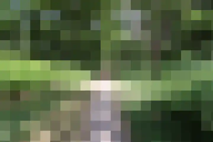 Bovenweg 5 1 Otterlo thumbnail 24