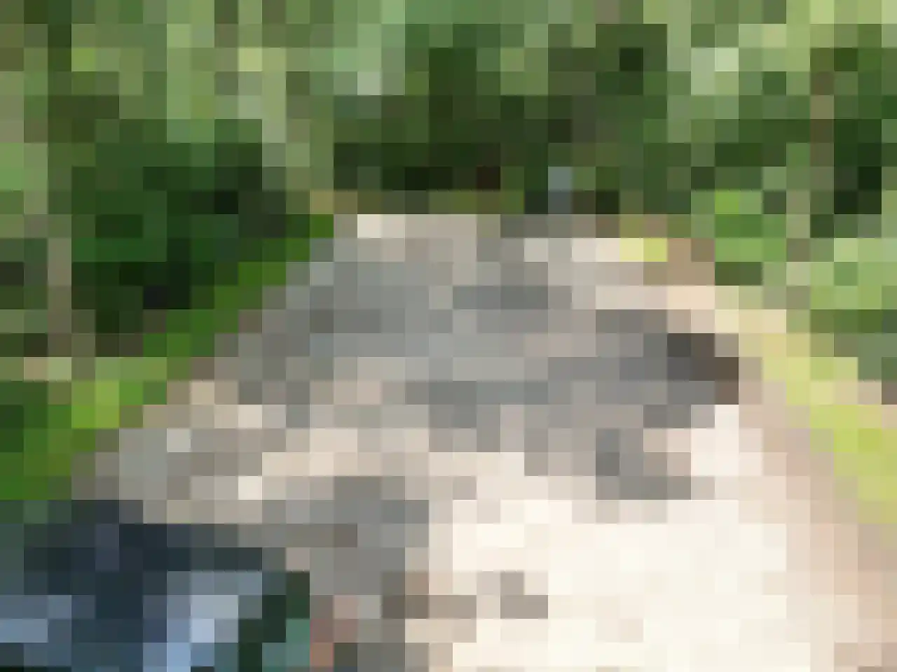 Bovenweg 5 34 Otterlo thumbnail 22